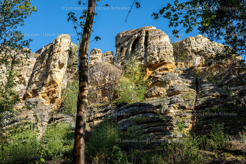 10049-13978 - Halberstadt - In den Klusbergen | Stockfoto und Bilderpool mit Bildmaterial aus Deutschland, dem Harz, Halberstadt, Quedlinburg, Wernigerode und weltweit. Qualitativ hochwertige und professionelle Fotos anschauen und kaufen. - Realized with Pictrs.com
