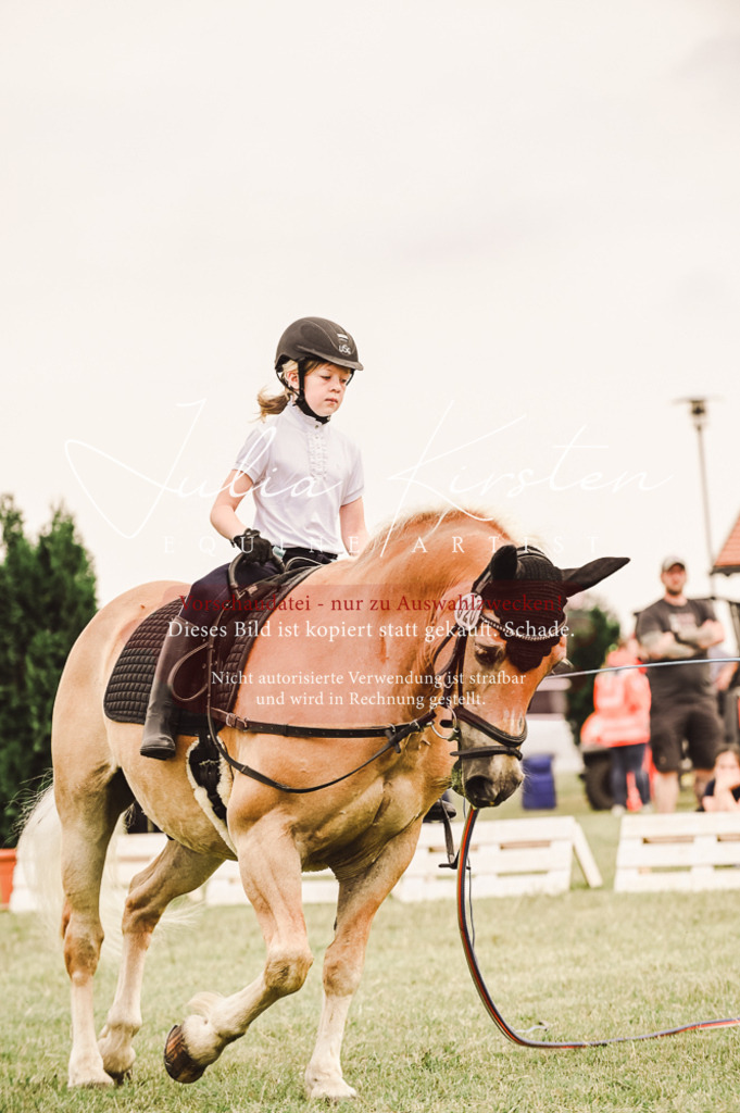 DSC_5240 | Pferde- und Turnierfotografie in Westsachsen. Pferdeportraits, Auftragszeichnungen und intuitive Kunst.