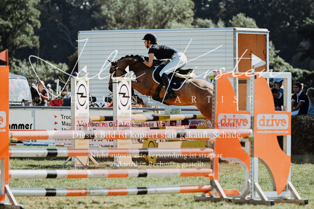DSC_6041 | Pferde- und Turnierfotografie in Westsachsen. Pferdeportraits, Auftragszeichnungen und intuitive Kunst.