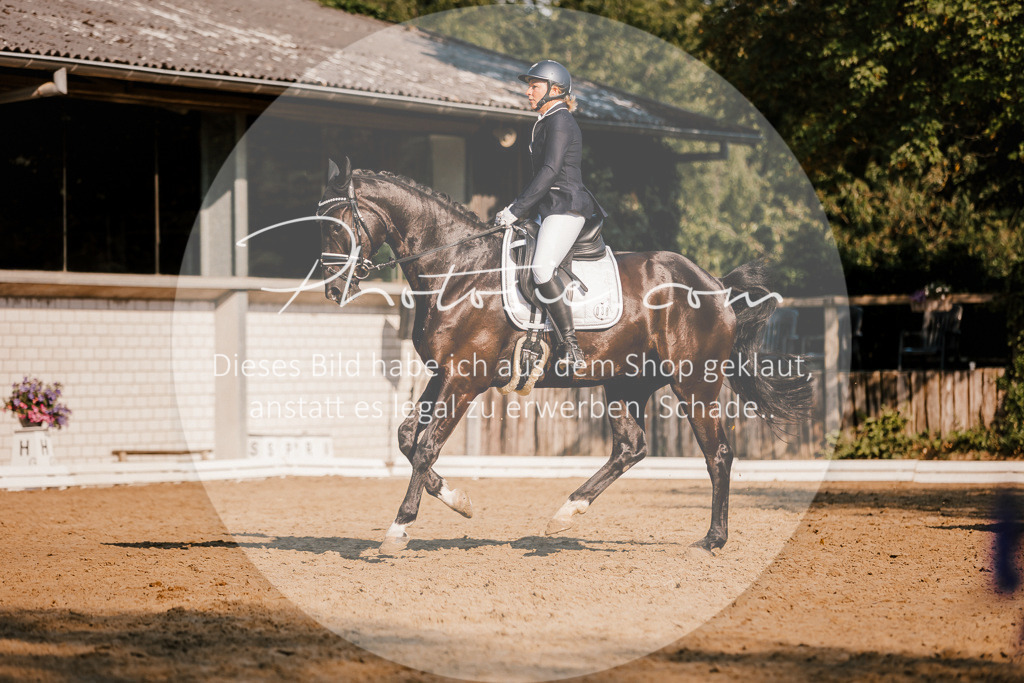 3I6A8838 | Stimmungsvolle Portraits und Reitsportfotografie im Ruhrgebiet und im Münsterland.

Pferdefotografie, Hundefotografie, Tierfotografie, Reportagen, Portraits von Tier und Mensch, Turnierfotografie in Bochum, Recklinghausen, Marl, Haltern am See, Dülmen.. - Realisiert mit Pictrs.com