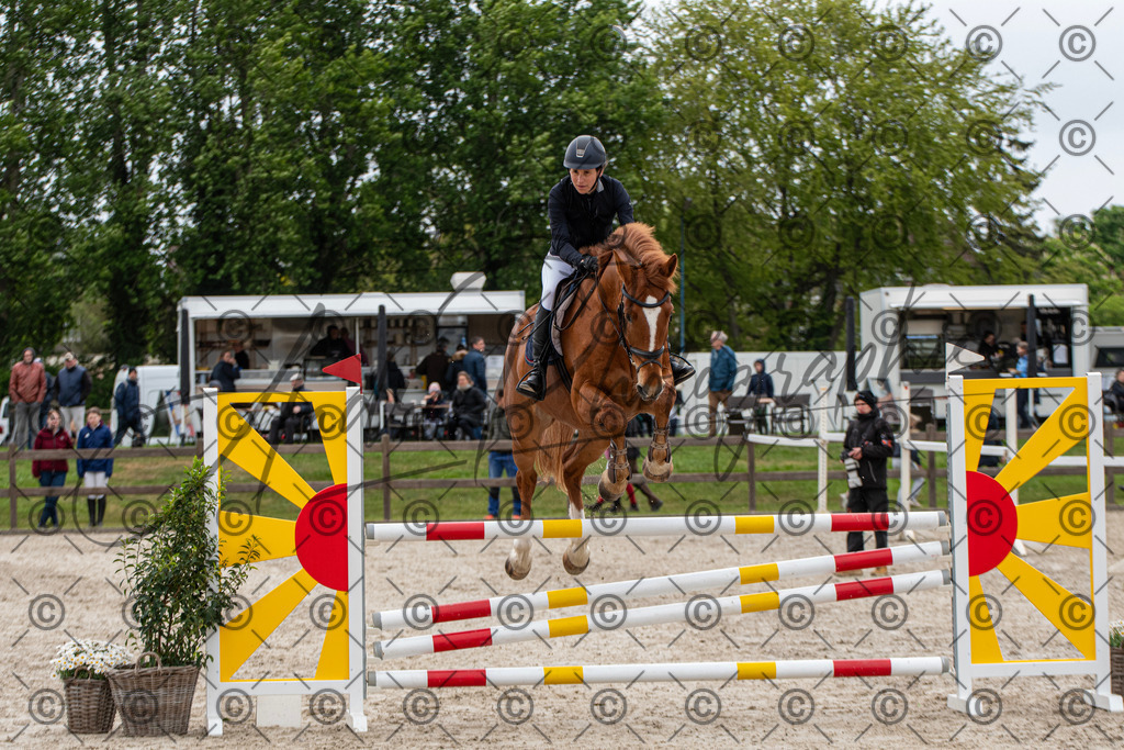 KPT_8424 | andre_photographic