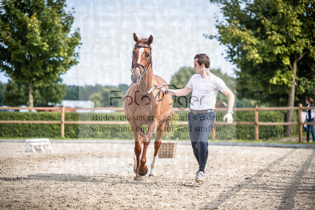 DOS_1750 | Entdecke hochwertige Reitturnierfotos von Foto Oger. Professionell, emotional und authentisch – jetzt Lieblingsmomente im Shop bestellen.Deutschlandweite Turnierfotografie. - Realisiert mit Pictrs.com