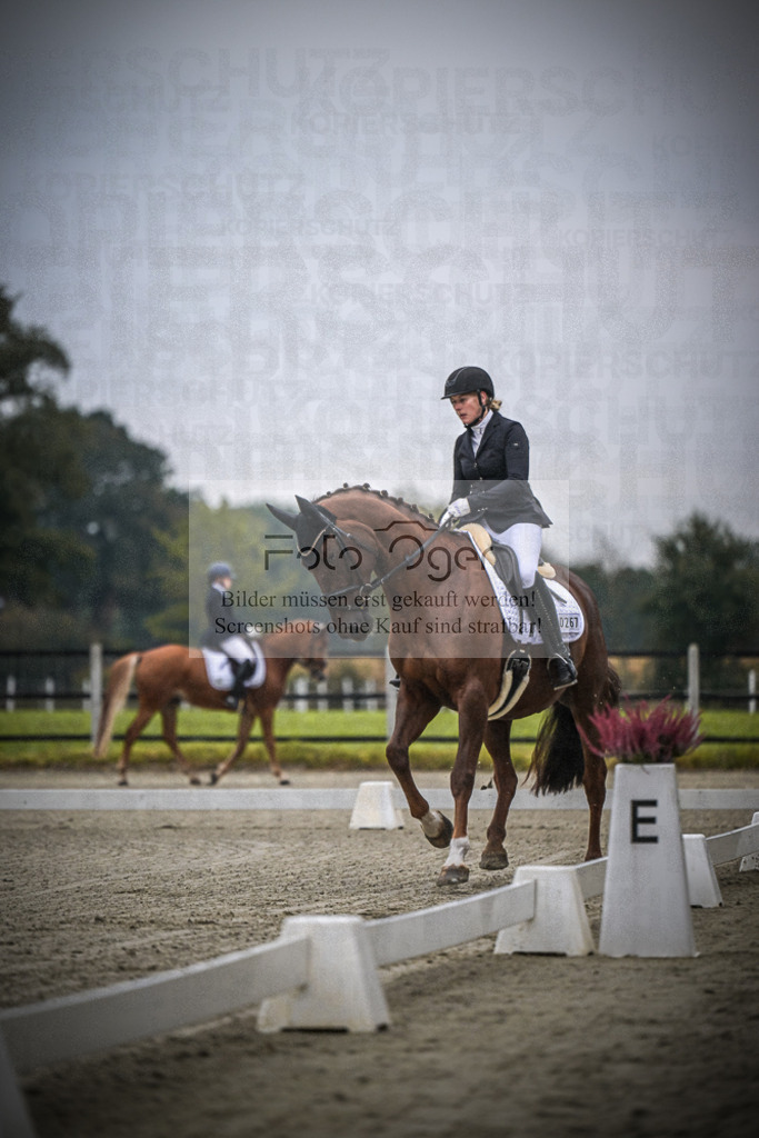 DOS_0144 | Entdecke hochwertige Reitturnierfotos von Foto Oger. Professionell, emotional und authentisch – jetzt Lieblingsmomente im Shop bestellen.Deutschlandweite Turnierfotografie. - Realisiert mit Pictrs.com