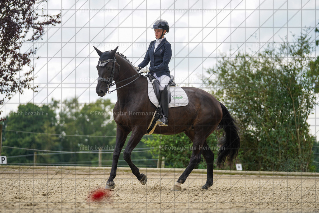 20230826-FAH05862 | Forstinning, 2023, Dressurturnier, Turniersportbilder, Turnierfotografen Bayern, Fotoagentur Herrmann, Reitsportfotografie, Turnierbilder