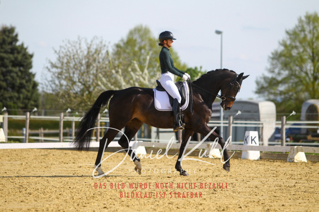 DKP43326 | Turniersportfotografie; Pferdefotografie; Dressurfotografie