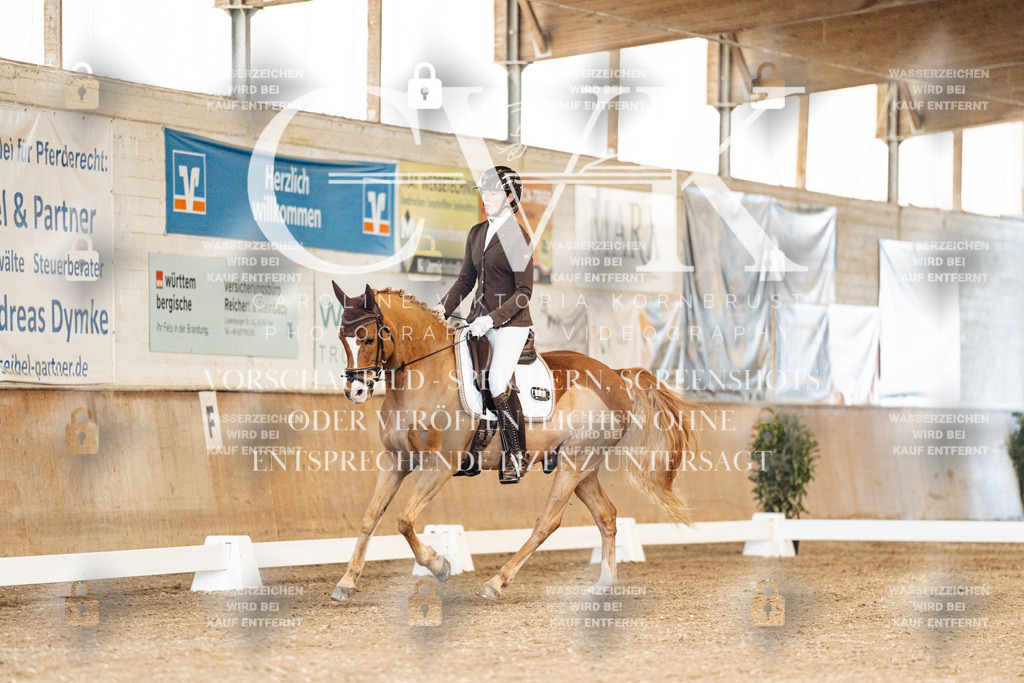 CK900789 | Turnierfotografie Pferdefotografie Trier Rheinland-Pfalz Pferdesport Reitsport Tierfotografie Sportfotografie Pferdevideo Pferdevideografie Equestrianvideography equestrianphotography  - Realisiert mit Pictrs.com