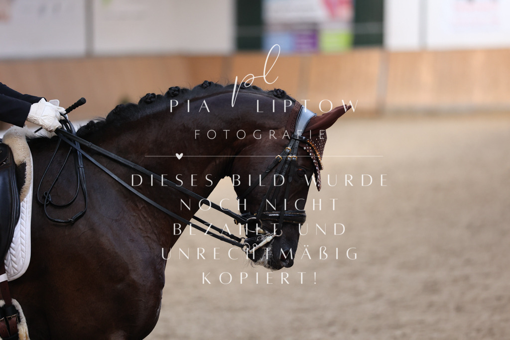 IMGM3264 | pl-fotografie