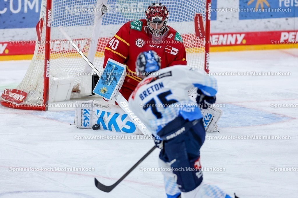 DEG02012501028 | 02.01.2025, Eishockey, Penny DEL, Düsseldorfer EG - ERC Ingolstadt, PSD-BANK Dome: Goalie Henrik Haukeland (DEG #40) verteidigt gegen Alex Breton (ERC Ingolstadt #75)