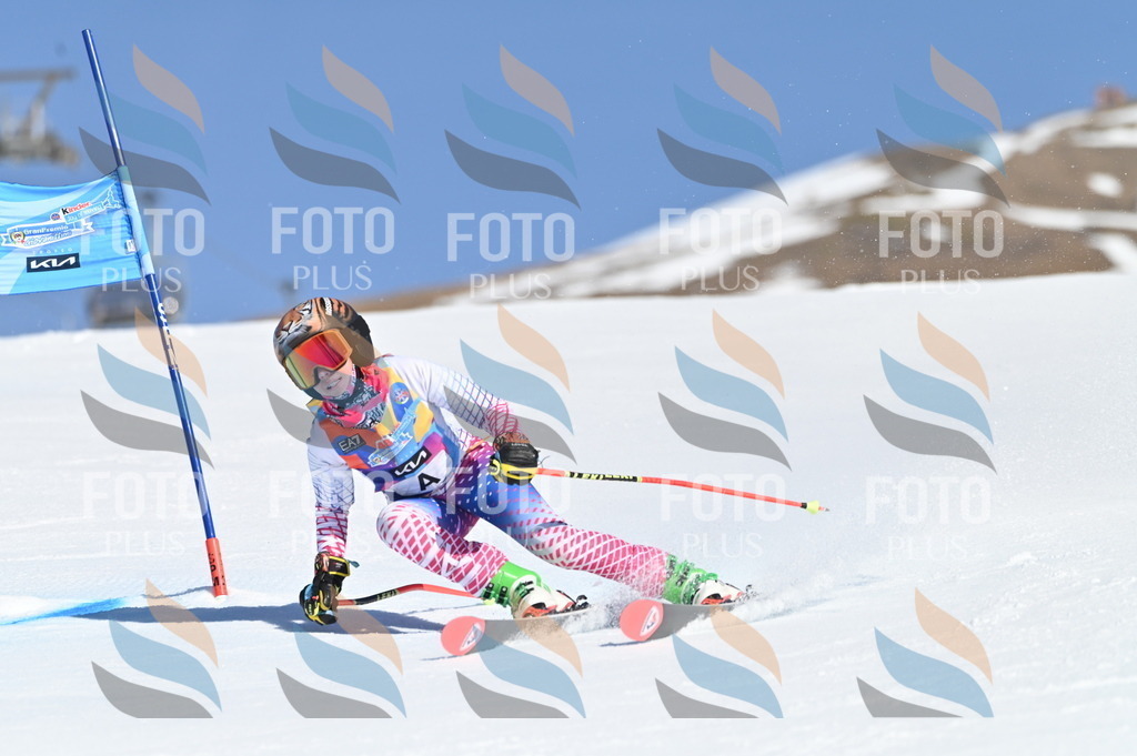 BGV_7549 | holidayphoto