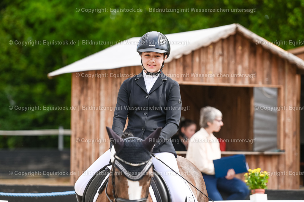 20230716_10-1_Reiter-WB Schritt - Trab - Galopp_0017 | equistock