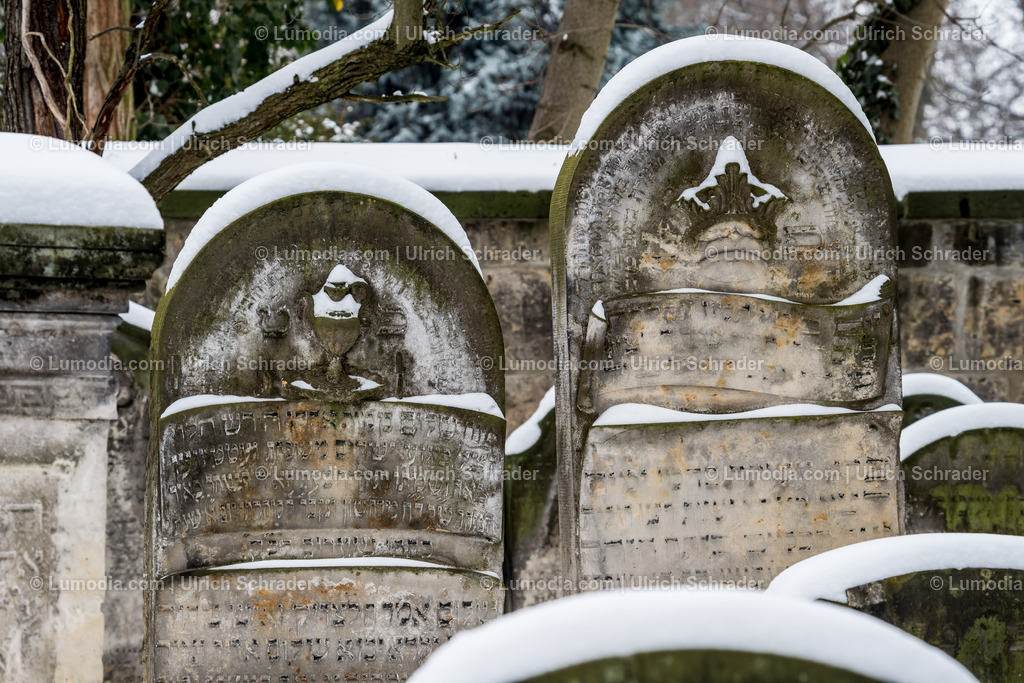 100494-3565 - Jüdischer Friedhof in Halberstadt | max. Bildgröße A2 | 300dpi - Realisiert mit Pictrs.com