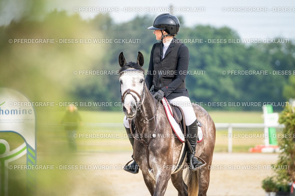 DSC08963 | Pferdegrafie