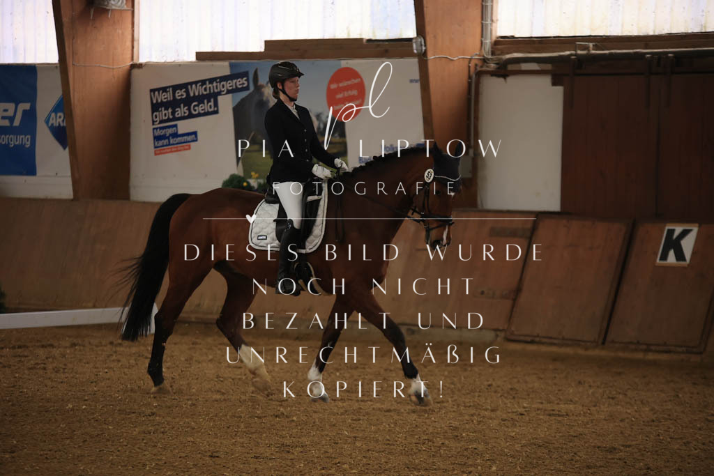 IMGT0013 | pl-fotografie