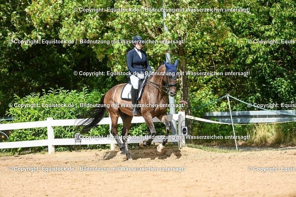 20230716_01_Dressurprüfung Kl.M_0300 | equistock