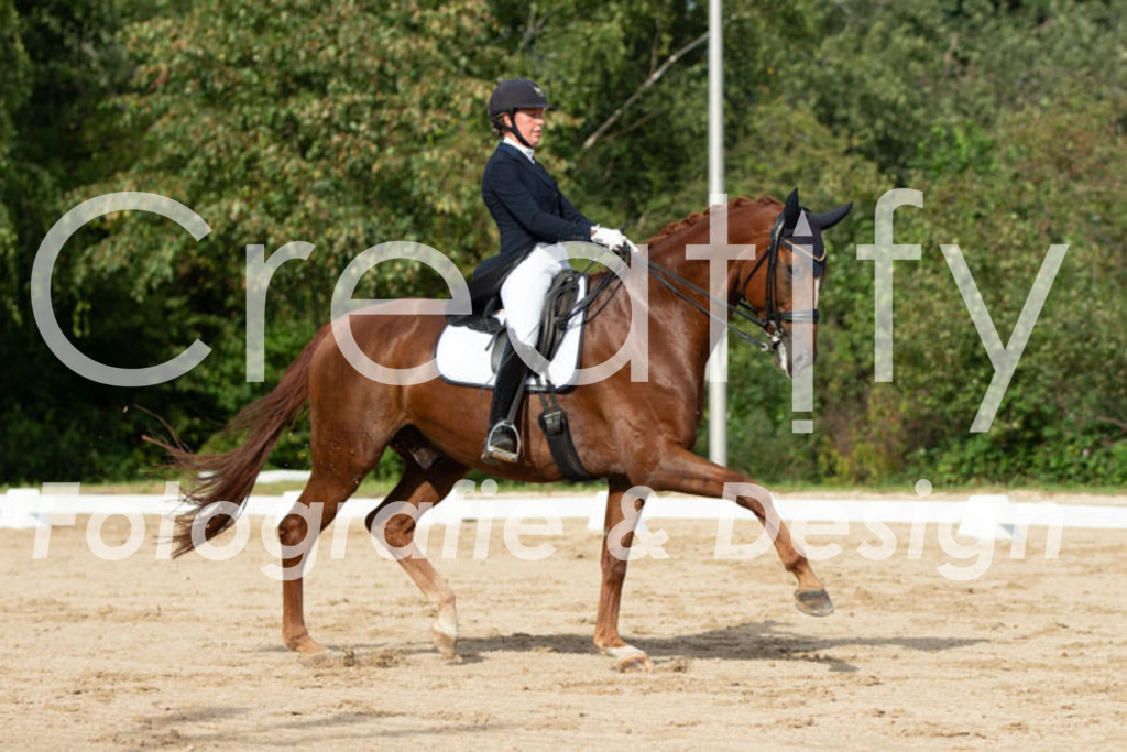 IMG_4111 | Creatify Fotografie