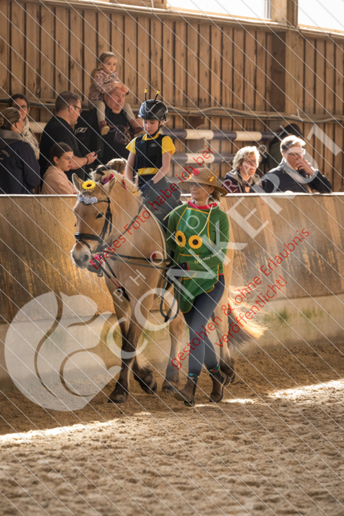 CON_5994 | Sport-, Event- und Tierfotos in Profiqualität. Einfach auswählen, bestellen und herunterladen. Dein Moment – perfekt festgehalten.