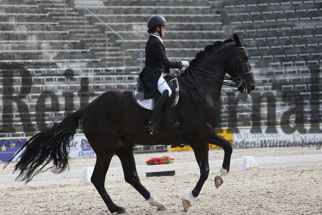 Marbach_2023_Prfg.Nr.11_Dressur_Kl.S_Amateure_Beate Handel_L_Unique 4 (9) | Alle Fotos der Reiterjournal Fotografin Doris Matthaes im Reiterjournal Online-Fotoshop. - Realisiert mit Pictrs.com