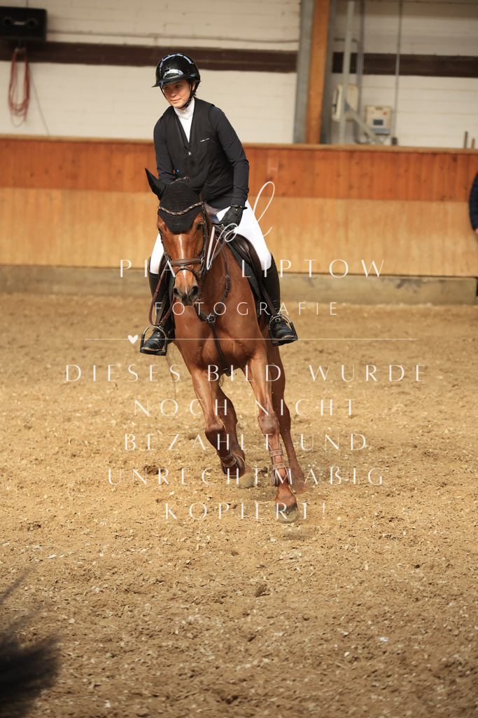 IMGT1339 | pl-fotografie