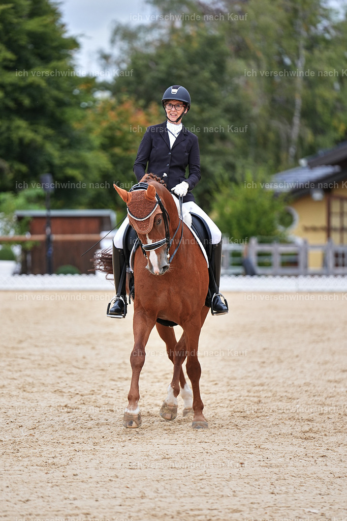 04_1-084-Dressur M__ -Marixx-2744 | working equitationturnier fotograf videograf stoibphotography marixx film working equitation deutschland reitsport turnierfotografie eventfotografie equestrian events