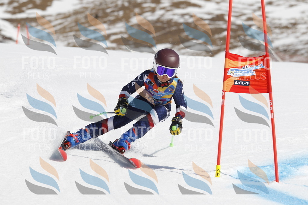 _U3G0459 | holidayphoto