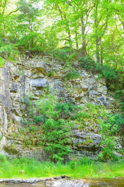 _DSC1035 | Shop für Prints Landschaftsfotografie Sächsische Schweiz Naturfotografie in Thüringen Fotos vom Findlingspark Nochten Kloster Sankt Marienstern Bilder Festung Königstein PanoramaRhododendronpark Kromlau FotogalerSchleswig-Holstein Küstenlandschaften