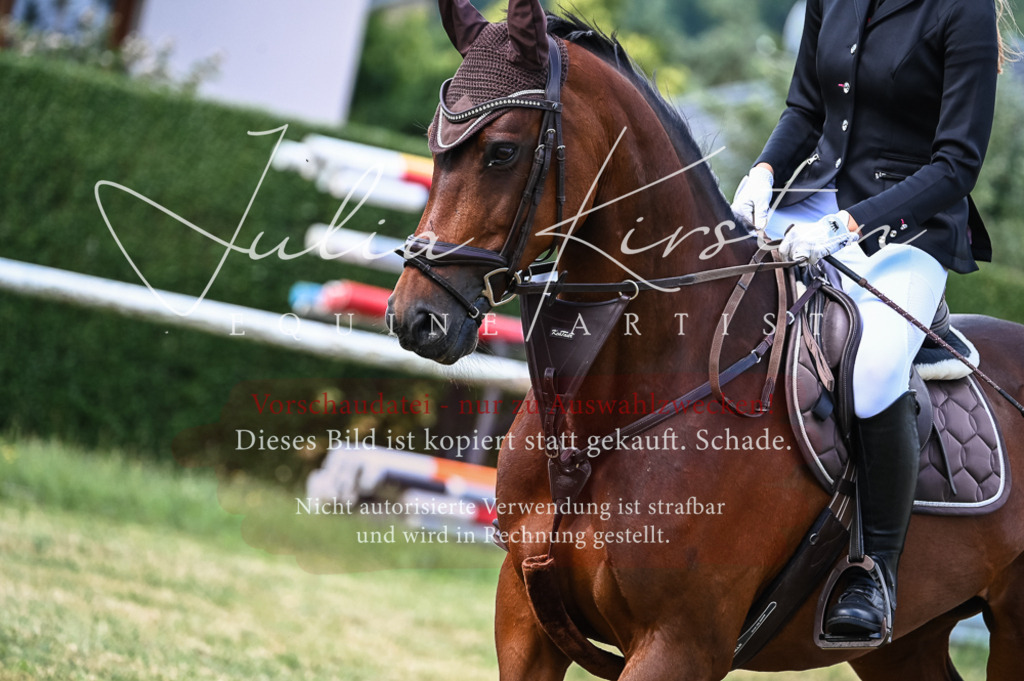 DSC_8484 | Pferde- und Turnierfotografie in Westsachsen. Pferdeportraits, Auftragszeichnungen und intuitive Kunst.