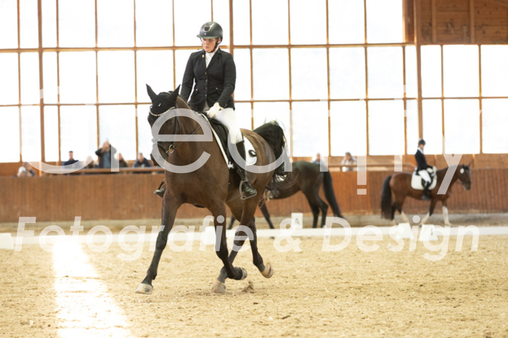 IMG_6001 | Creatify Fotografie