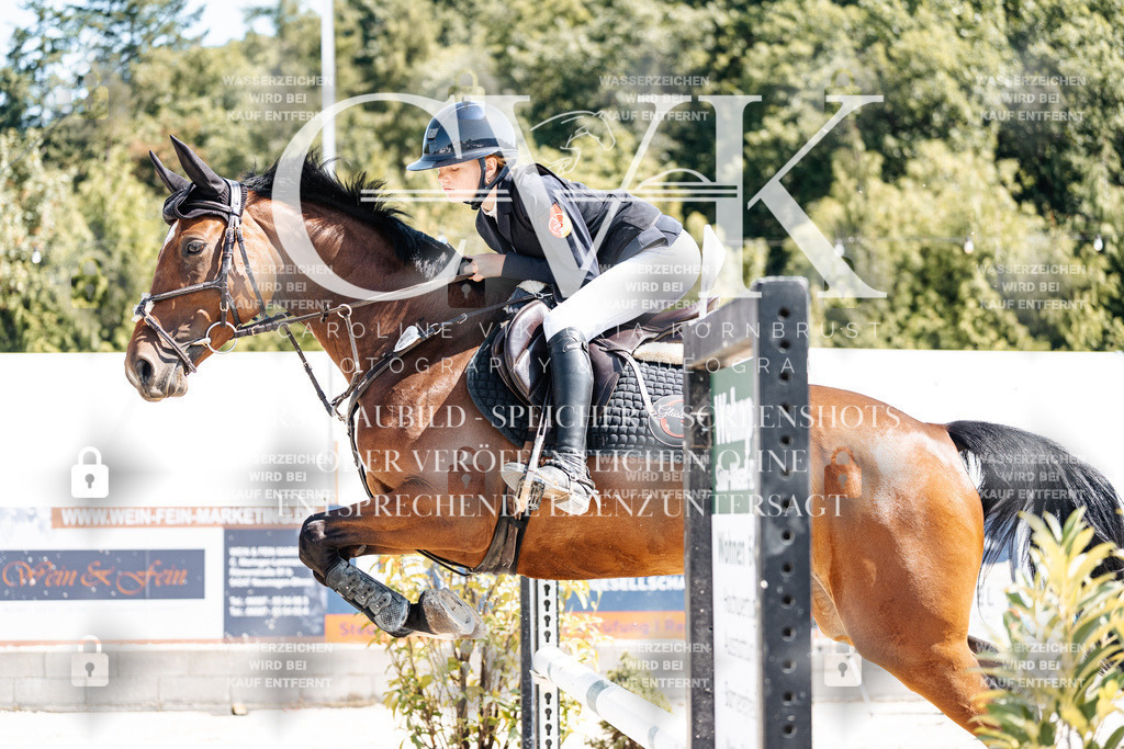 CK909312 | Turnierfotografie Pferdefotografie Trier Rheinland-Pfalz Pferdesport Reitsport Tierfotografie Sportfotografie Pferdevideo Pferdevideografie Equestrianvideography equestrianphotography  - Realisiert mit Pictrs.com