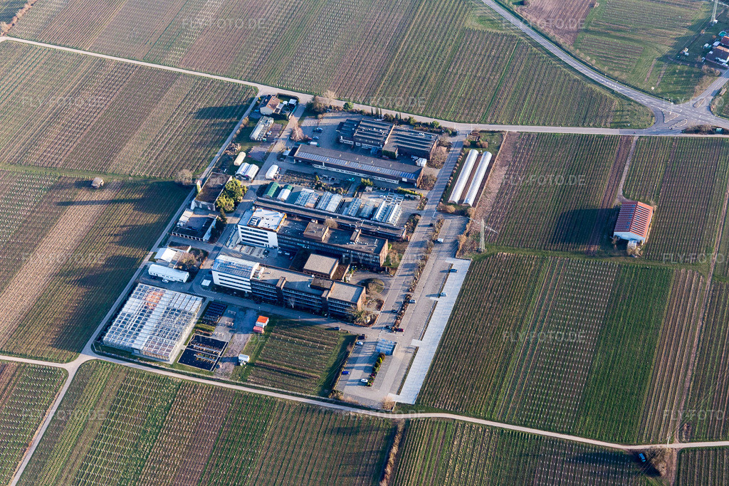 Luftbild: RLP Agroscience im Ortsteil Mußbach in Neustadt im Bundesland Rheinland-Pfalz in Deutschland. Foto: IMG_097363.jpg vom 10.03.2017 durch Werner Riehm/FLY-FOTO.de