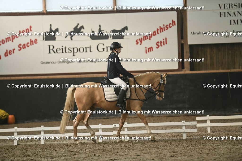 20231029_02_Reiter-WB_Schritt-Trab_Abteilung-01_0062 | Foto: Thomas Hartig