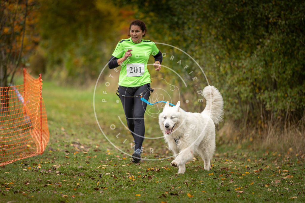 Pfotenfotografie_DV3A4184 | Hundefotografie, Tierfotograf, Pfotenfotografie, Fotoshooting Hund, Hunde Portrait, Hundesport, Hundeportraits, Heideshooting, Hunde, Sportfotograf, Hundefotograf, Turnierhundsport, THS,  - Realisiert mit Pictrs.com