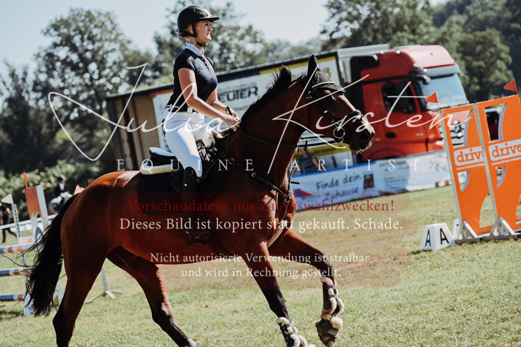 DSC_5806 | Pferde- und Turnierfotografie in Westsachsen. Pferdeportraits, Auftragszeichnungen und intuitive Kunst.