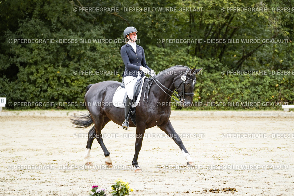 DSC08307 | Pferdegrafie