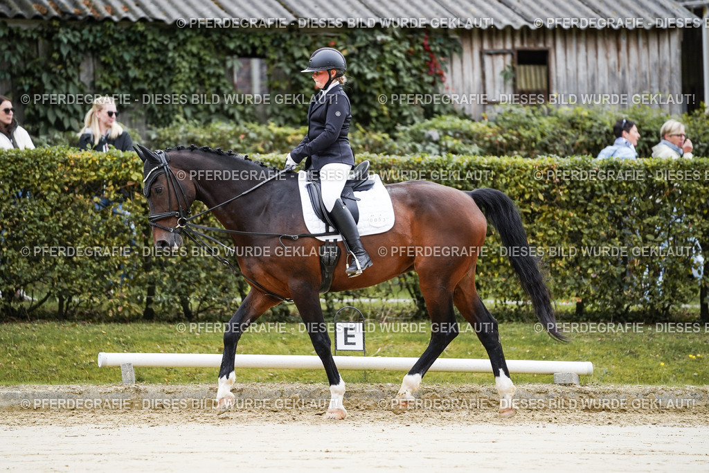 DSC04873 | Pferdegrafie