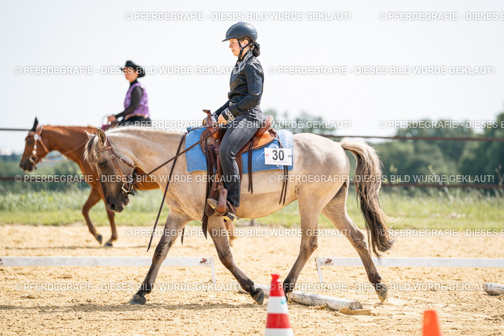 DSC09912 | Pferdegrafie