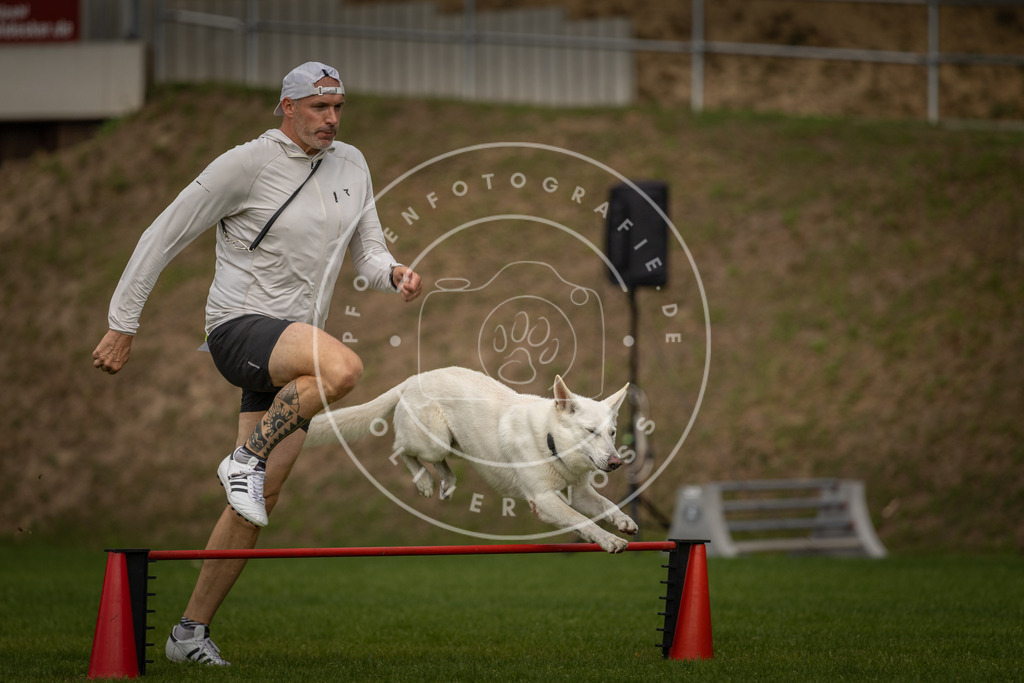 Pfotenfotografie_DV3A7663 | Hundefotografie, Tierfotograf, Pfotenfotografie, Fotoshooting Hund, Hunde Portrait, Hundesport, Hundeportraits, Heideshooting, Hunde, Sportfotograf, Hundefotograf, Turnierhundsport, THS,  - Realisiert mit Pictrs.com