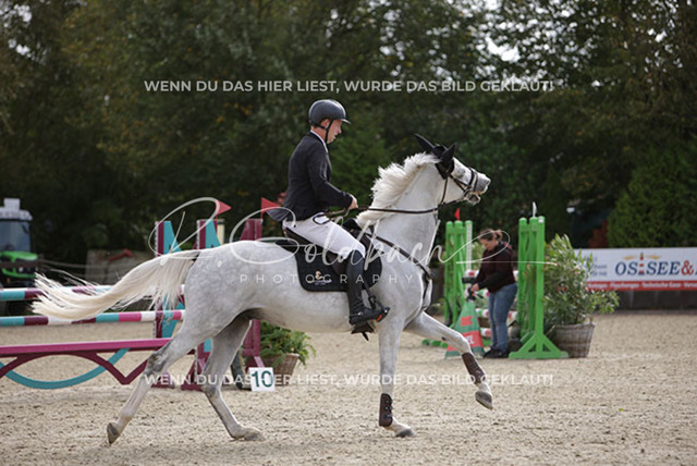 1J2A1449Klas-Kristoff Kudlinski_ Murphy me BE_ Kn758_ Havekost | Foto- und Videografie für alles rund ums Pferd. Hochwertige Bilder und Videos vom Spring- und Dressurreiten, Voltigieren & mehr. Jetzt aktuelle Veranstaltungen und Preise im Shop ansehen. - Realisiert mit Pictrs.com