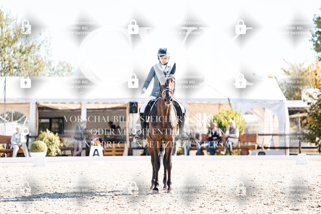 CK908765 | Turnierfotografie Pferdefotografie Trier Rheinland-Pfalz Pferdesport Reitsport Tierfotografie Sportfotografie Pferdevideo Pferdevideografie Equestrianvideography equestrianphotography  - Realisiert mit Pictrs.com