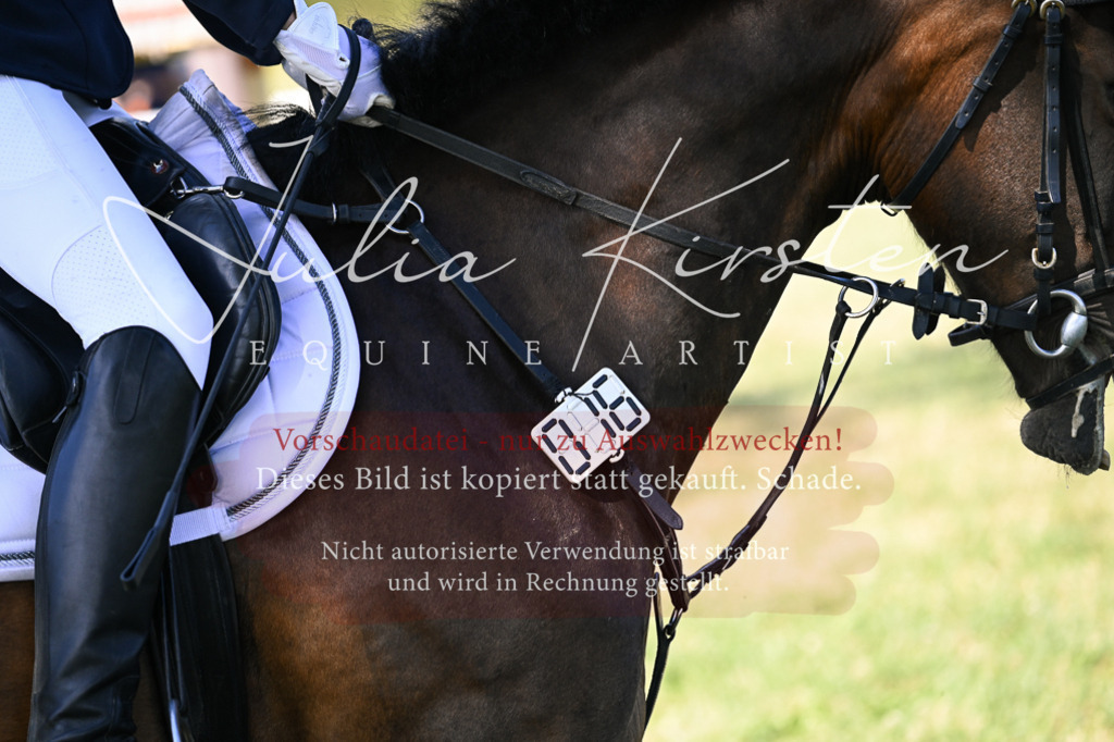 DSC_0395 | Pferde- und Turnierfotografie in Westsachsen. Pferdeportraits, Auftragszeichnungen und intuitive Kunst.