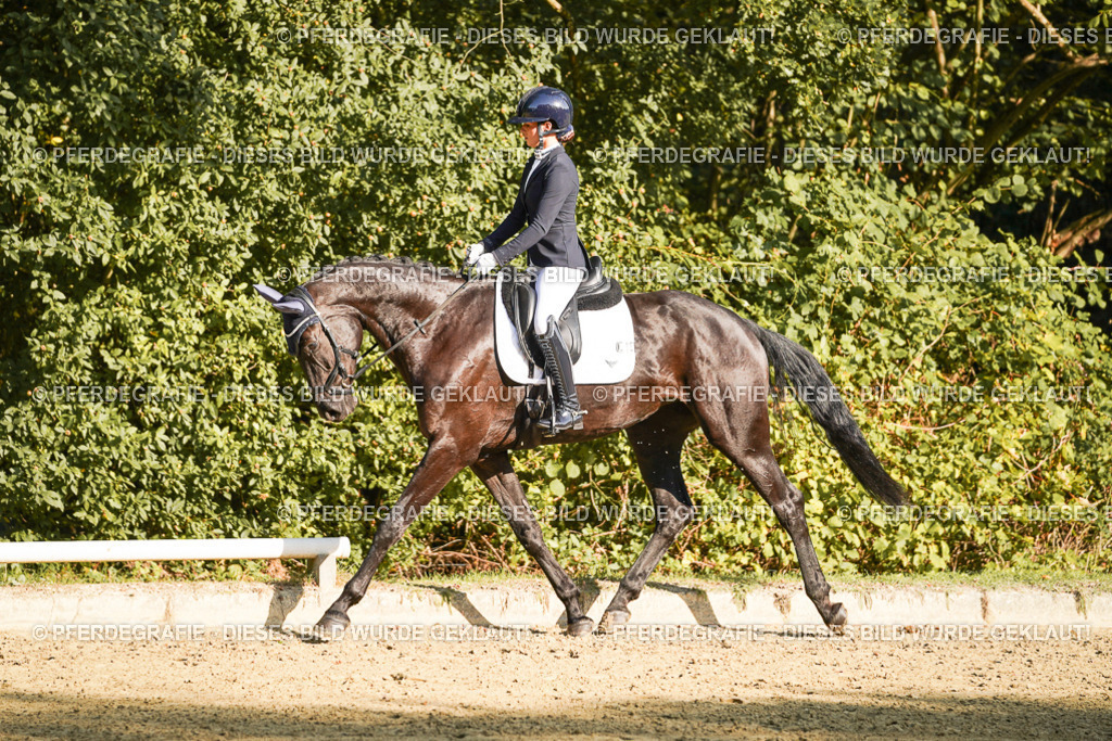 DSC05986 | Pferdegrafie