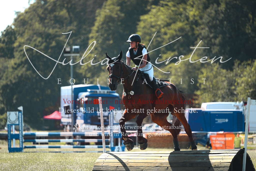 DSC_8320 | Pferde- und Turnierfotografie in Westsachsen. Pferdeportraits, Auftragszeichnungen und intuitive Kunst.