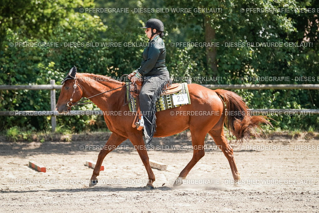 DSC06574 | Pferdegrafie