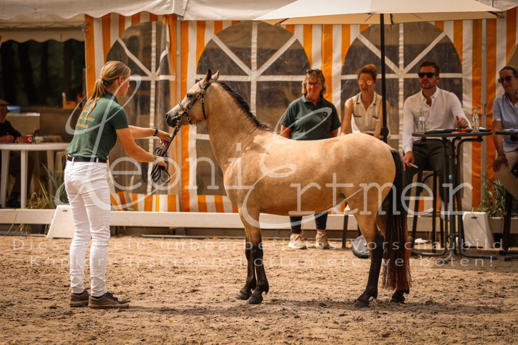 04.So00013 | Leoni Ertmer Photography - Realisiert mit Pictrs.com