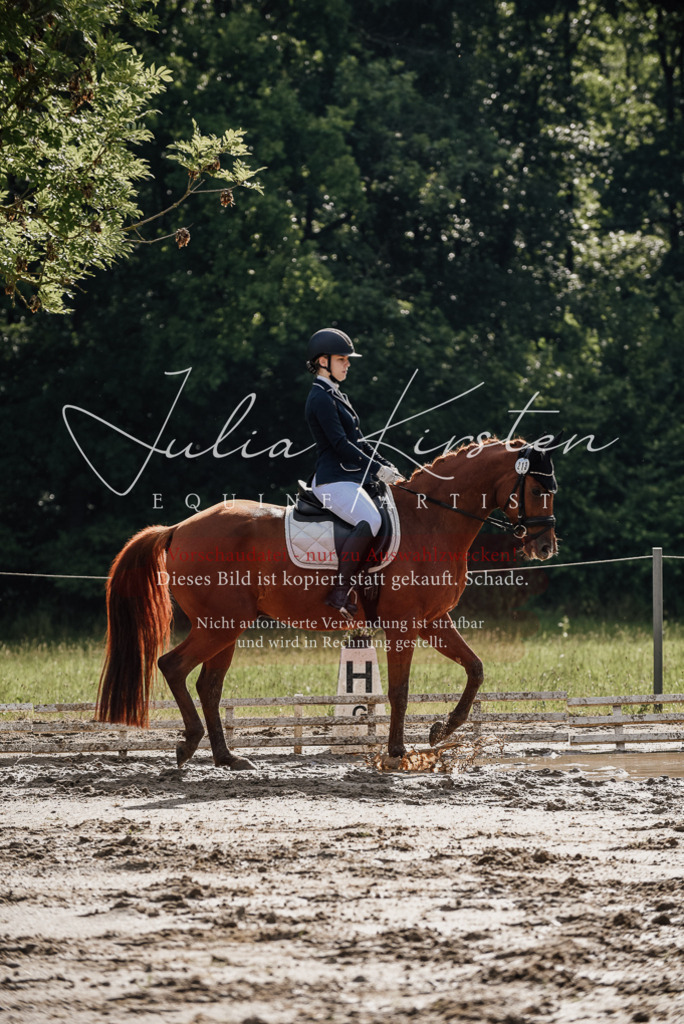 DSC_8849 | Pferde- und Turnierfotografie in Westsachsen. Pferdeportraits, Auftragszeichnungen und intuitive Kunst.