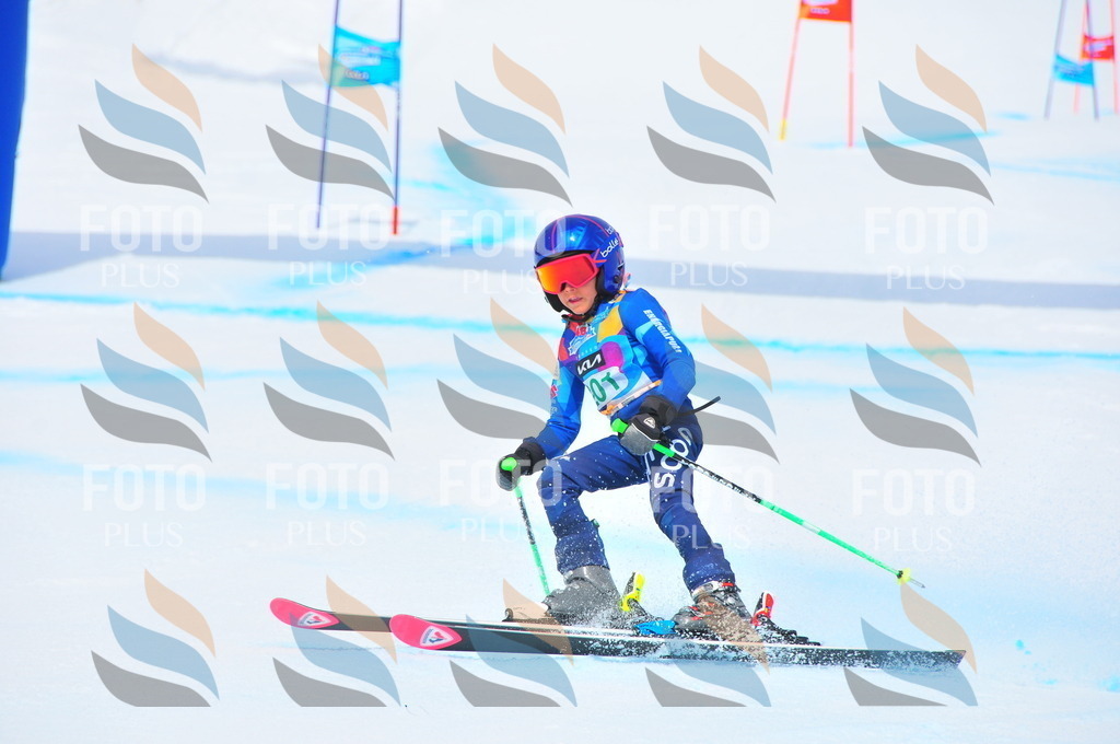 DSC_1843 | holidayphoto