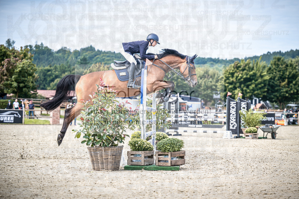 DOS_8871 | Entdecke hochwertige Reitturnierfotos von Foto Oger. Professionell, emotional und authentisch – jetzt Lieblingsmomente im Shop bestellen.Deutschlandweite Turnierfotografie. - Realisiert mit Pictrs.com