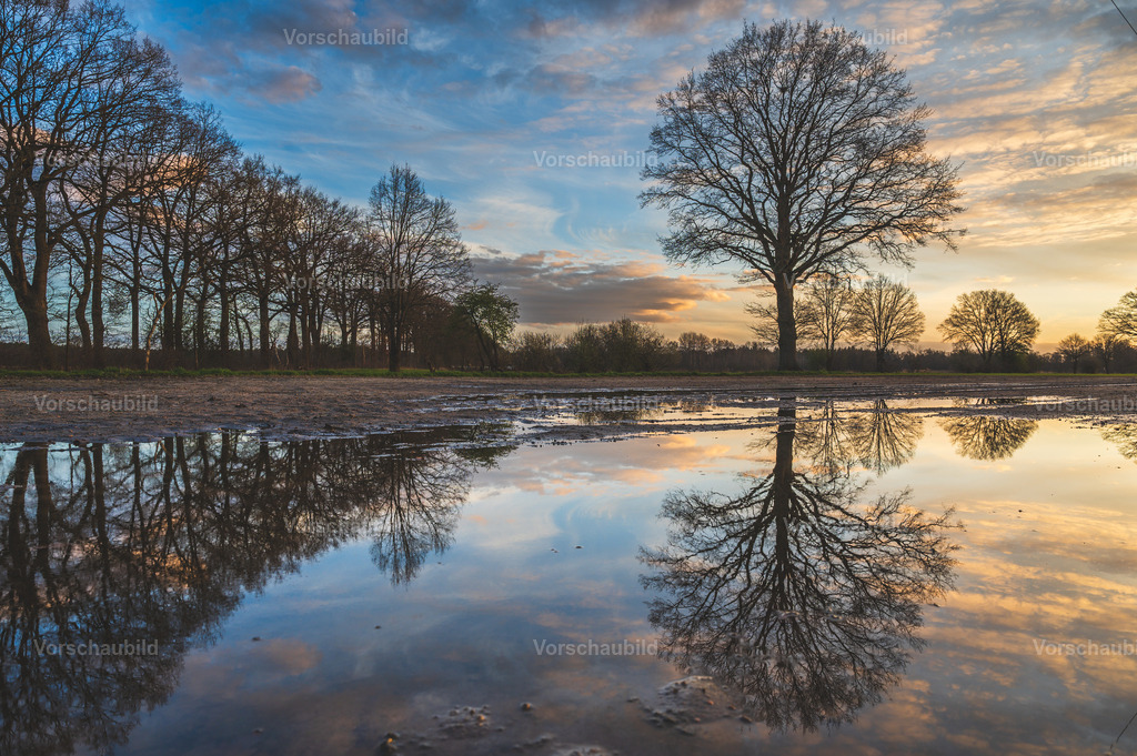 Fotoatelier Christian Hofmeister | Stadtlandschaften, sowie Makro-, Landschafts-, Natur- und Schwarzweißfotos aus der Region Celle & Umgebung