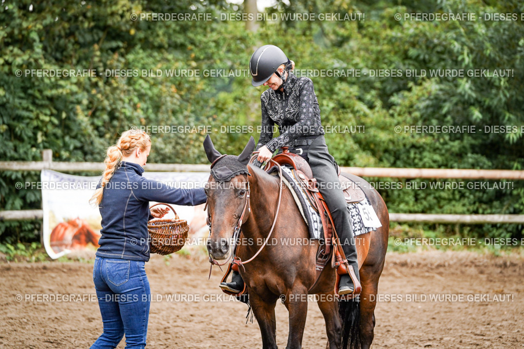 DSC03269 | Pferdegrafie