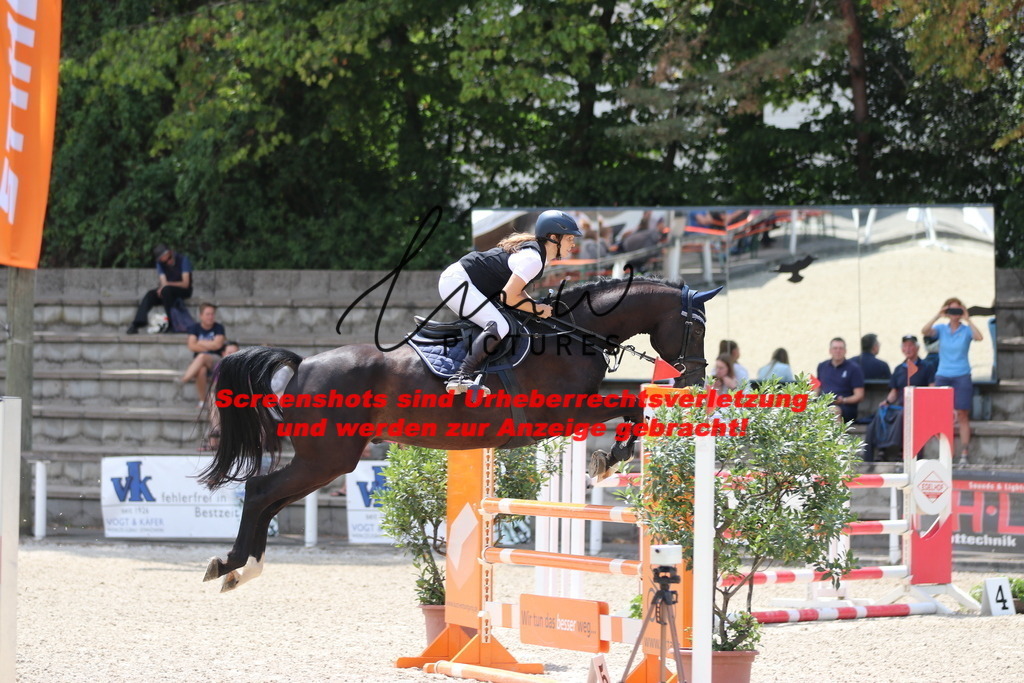 IMG_0033 | lmwpictures - Realisiert mit Pictrs.com