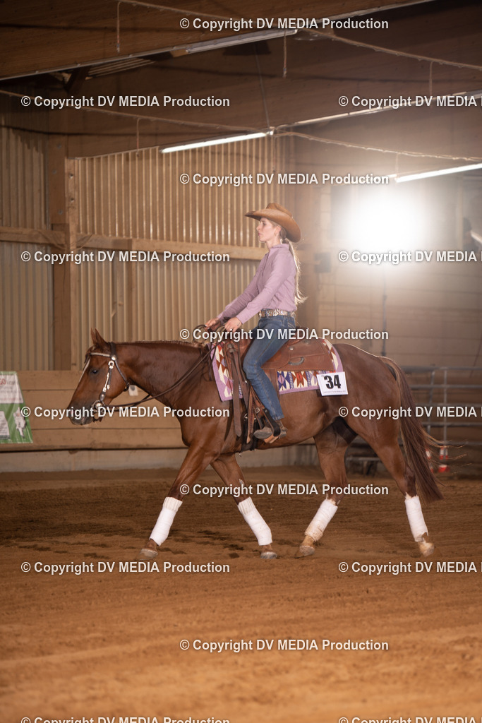 NID00976 | dv-media-shop - Realisiert mit Pictrs.com